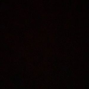 Meet your Posher, Ella